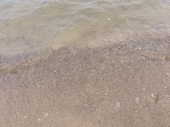 -碧海金沙