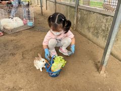 -前小桔亲子创意农场·草莓采摘·露营烧烤