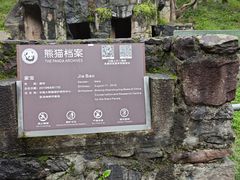 -都江堰中华大熊猫苑