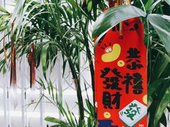 -钟薛高(南头古城店)