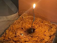 -积慕Cake(解放大道店)