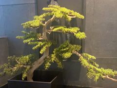 -百富源·海鲜辽菜(浑河堡店)