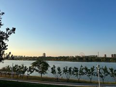 -灞河西岸滨河公园