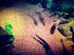 -沈阳海洋探索中心