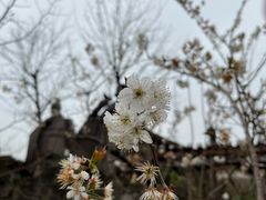 -驿舍·民國老营房院子私房菜(科学会堂店)