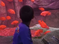 -泉城欧乐堡海洋极地世界