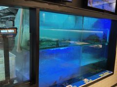 -鱼酷活鱼烤鱼(南京水游城店)