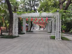 -荔湾湖公园