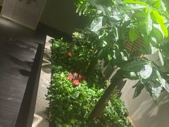 -合和大唐(江夏纸坊店)