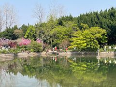 -嘉定紫藤园