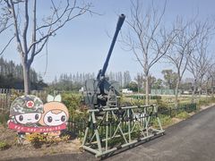 -上海长兴岛郊野公园