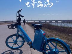 -南汇嘴观海公园
