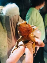 -酷嗒动物文化乐园(cutezoo西溪乐天城店)