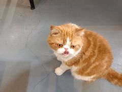 -臻鲜燕海鲜融合餐厅(金陵style店)