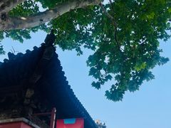 -嵩祝寺及智珠寺