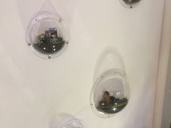 -骑鹅公社(南开大悦城店)