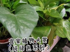 -宜家家居(哈尔滨商场店)