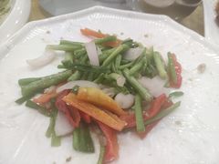 -姚林轩