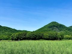 -八卦田遗址公园