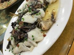 起片清蒸罗非-文海饭店(朝阳路店)