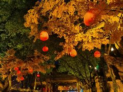 -横店影视城梦幻谷园区