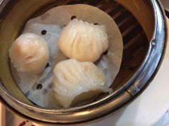 -糖朝(尖沙咀店)