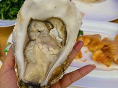 大生蚝-品海楼·大连海胆锅贴馆(东港店)