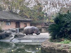 -南昌动物园