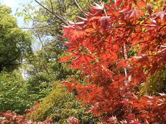 -杭州半山国家森林公园