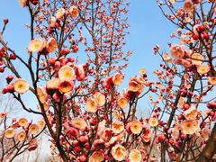 -蜀冈西峰生态公园