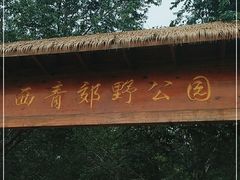 -西青郊野公园