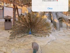 -常州淹城野生动物世界