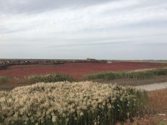 -红海滩国家风景廊道