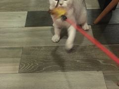 -好享派·团建轰趴馆(旗舰店)