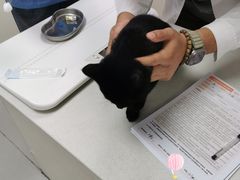 -宠颐生宠物医院·犬猫全科·皮肤科(商业街店)