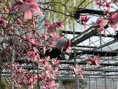 -洛阳市隋唐城遗址植物园