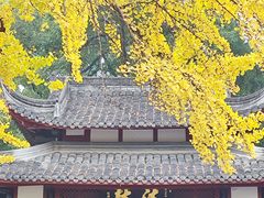 -名善山珍·野生菌汤锅(文殊院店)