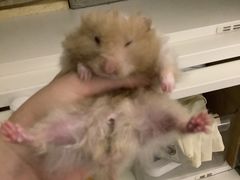 -长安国际影城(钟楼店)