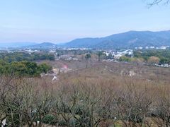 -香雪海