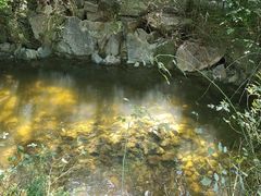 -九如山休闲旅游度假区