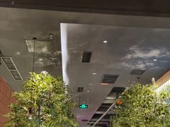 -同仁四季椰子鸡(海岸城天利店)