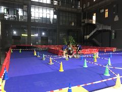 -兔跑跑儿童运动馆·平衡车·体能(市桥北店)