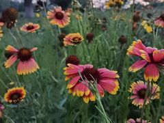 -汉长安城未央宫国家考古遗址公园