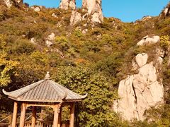 -大岭沟猕猴桃谷风景区
