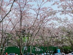 -幕燕滨江·燕子矶公园