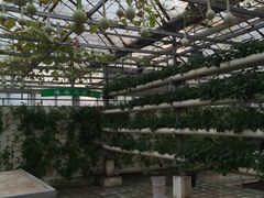 -祥源·阜阳生态乐园