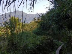 -罗坑大草原