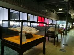 -游龙石文化科普馆