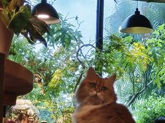 -自由生长植物工作室(深港花卉中心店)