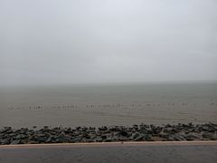 -深圳湾公园(南山区)